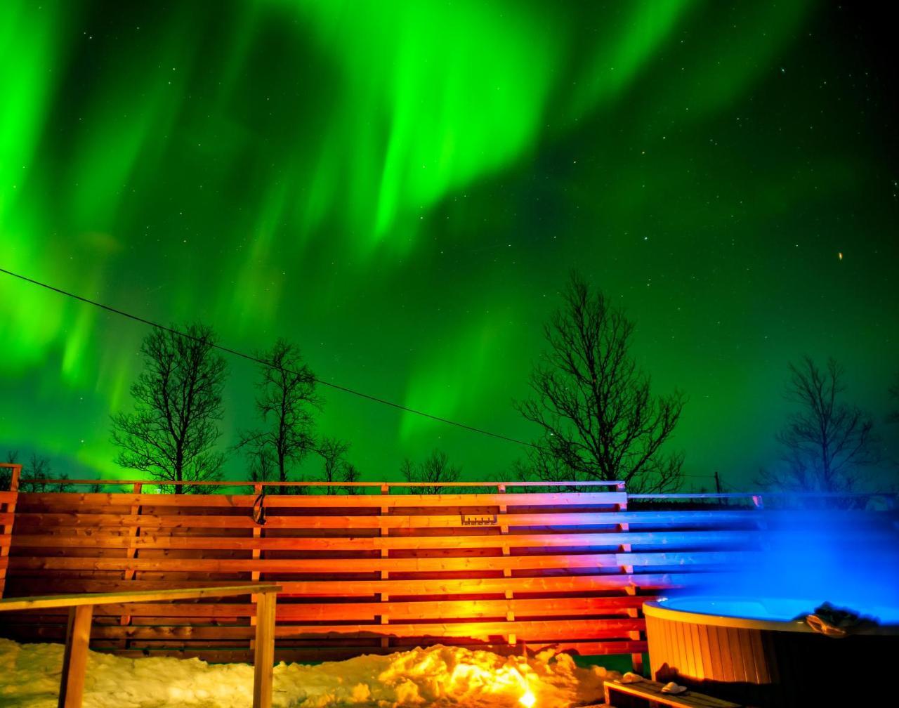 Arctic Gourmet Cabin Кіруна Екстер'єр фото
